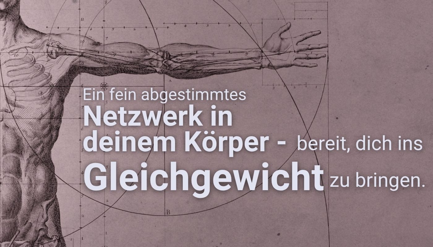 Illustration des menschlichen Körpers im Stil von Leonardo da Vinci, kombiniert mit dem Text: „Ein fein abgestimmtes Netzwerk in deinem Körper – bereit, dich ins Gleichgewicht zu bringen“. Das Bild verweist auf das körpereigene System, das durch die Hanf Wirkung positiv unterstützt werden kann.