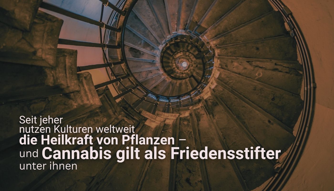 Blick in eine historische Wendeltreppe von oben – spiralförmig und stimmungsvoll beleuchtet. Der Text im Bild lautet: „Seit jeher nutzen Kulturen weltweit die Heilkraft von Pflanzen – und Cannabis gilt als Friedensstifter unter ihnen“. Symbol für die historische Tiefe der Hanf Wirkung.