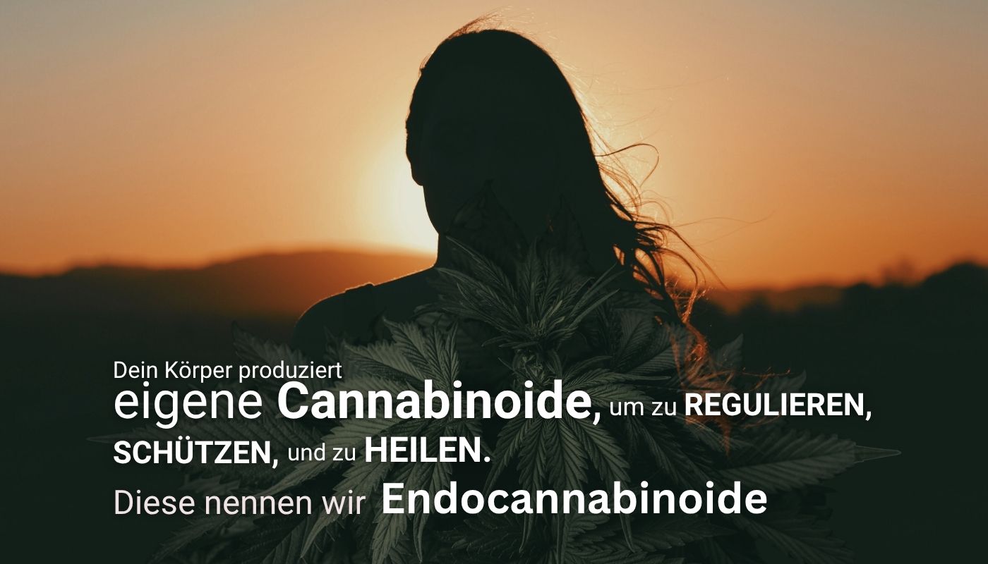 Silhouette einer Frau, die dem Sonnenuntergang entgegenschaut. In ihrer Körpermitte erscheint symbolisch eine Hanfpflanze – sie steht für die Verbindung zwischen innerem Gleichgewicht und Hanf Wirkung.