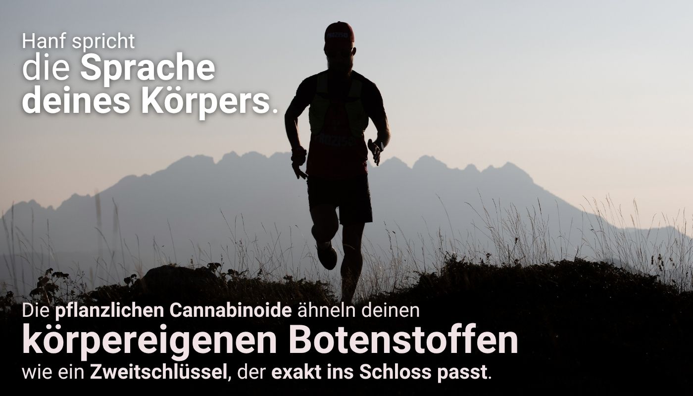 Silhouette eines joggenden Mannes vor einer Bergkulisse im Morgengrauen. Im Vordergrund der Text: „Hanf spricht die Sprache deines Körpers“. Symbolbild für die Hanf Wirkung als natürliche Ergänzung körpereigener Botenstoffe.