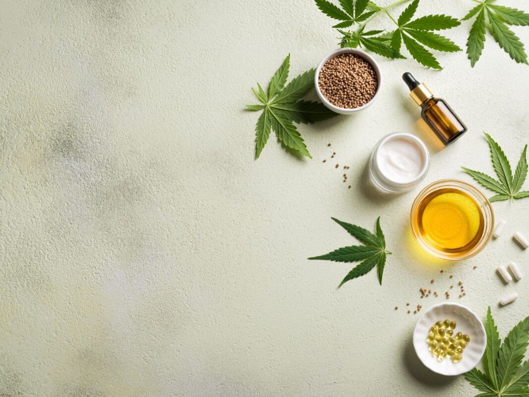 Hanfprodukte wie Öl, Kapseln, Samen und Creme auf hellem Hintergrund, symbolisieren die gesundheitsfördernde Wirkung von Hanf ohne Rausch