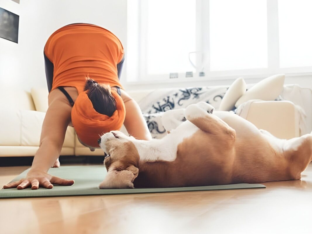 Frau macht Yoga-Übung mit Hund – natürliche Unterstützung des Endocannabinoid-Systems