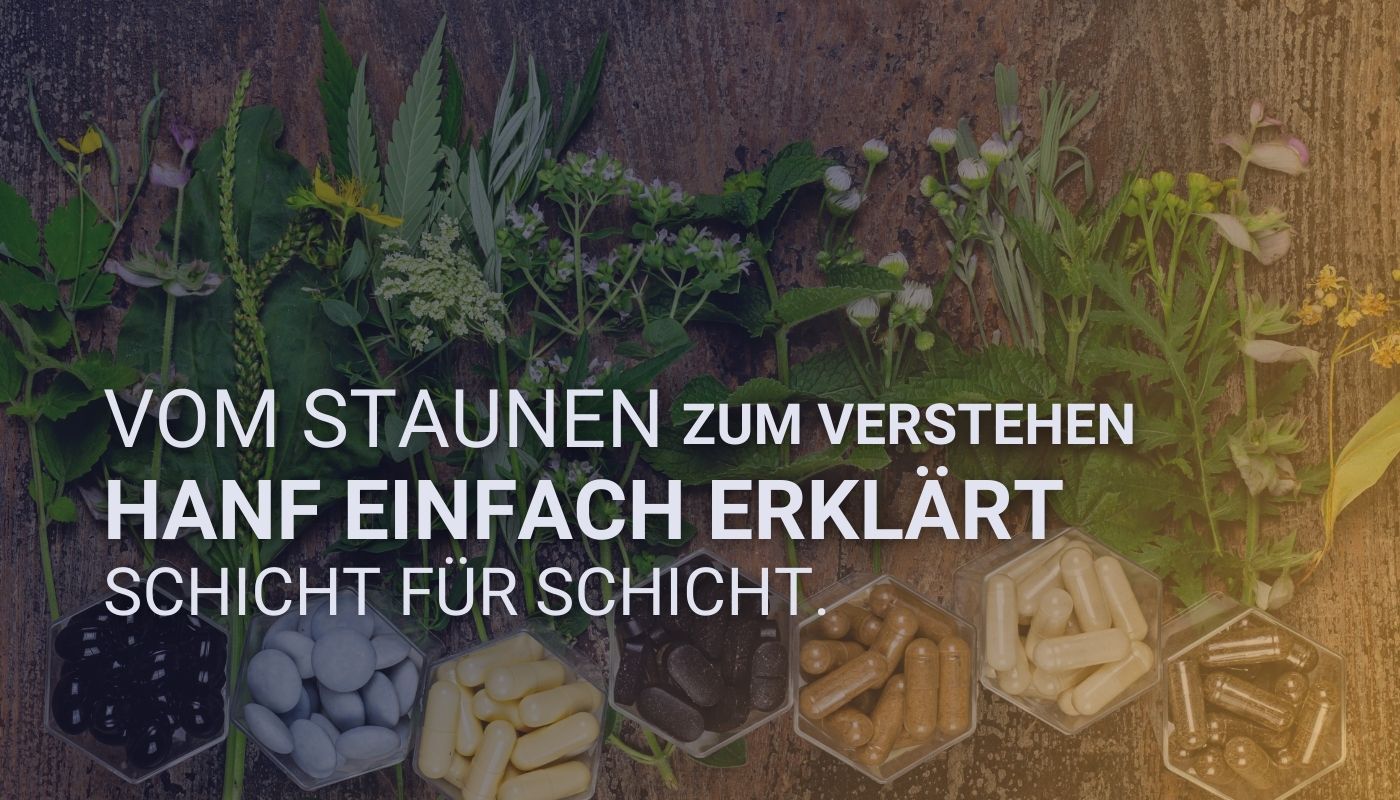 rische Heilpflanzen und Hanfkapseln auf Holz – Hanfwissen verständlich gemacht, Schicht für Schicht erklärt.